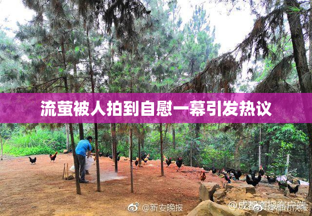 流萤被人拍到自慰一幕引发热议