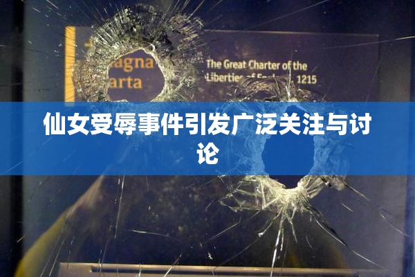 仙女受辱事件引发广泛关注与讨论