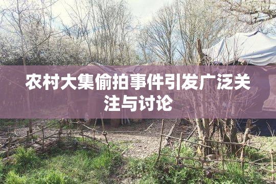农村大集偷拍事件引发广泛关注与讨论
