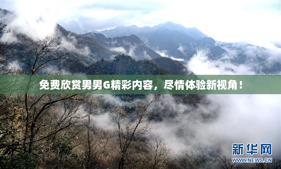 免费欣赏男男G精彩内容，尽情体验新视角！