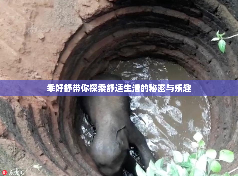 乖好舒带你探索舒适生活的秘密与乐趣