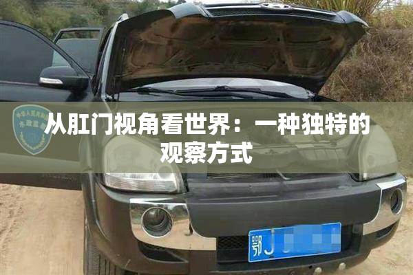 从肛门视角看世界：一种独特的观察方式
