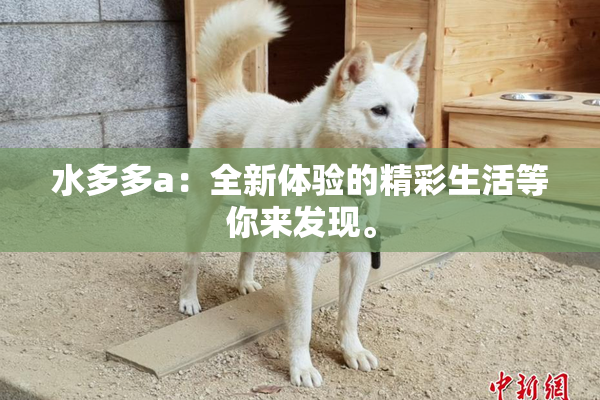水多多a：全新体验的精彩生活等你来发现。