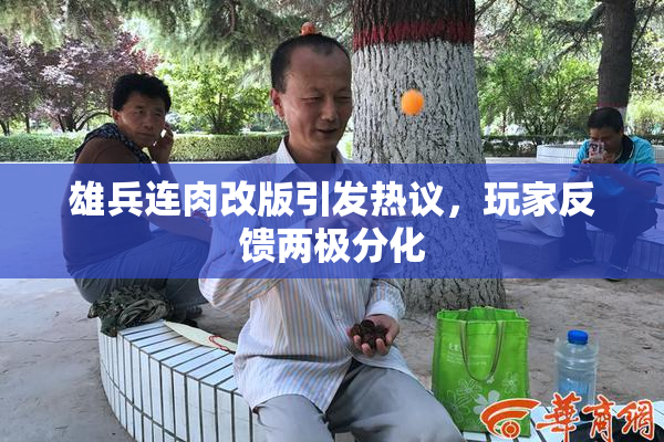 雄兵连肉改版引发热议，玩家反馈两极分化
