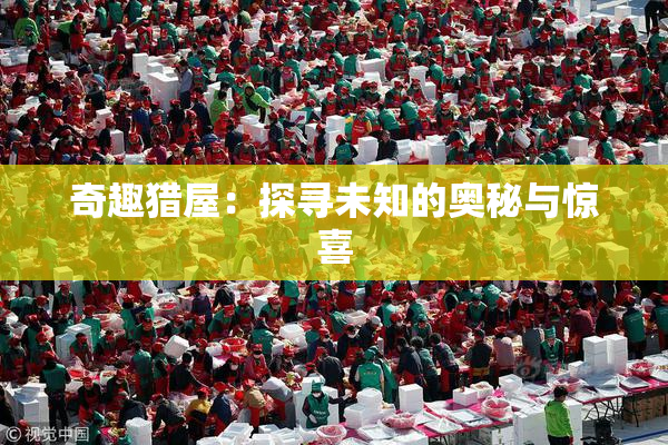奇趣猎屋：探寻未知的奥秘与惊喜
