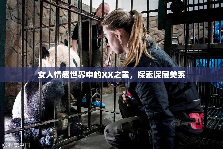 女人情感世界中的XX之重，探索深层关系