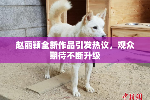 赵丽颖全新作品引发热议，观众期待不断升级