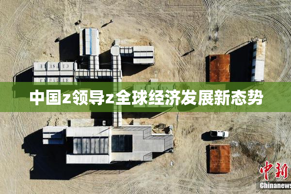中国z领导z全球经济发展新态势