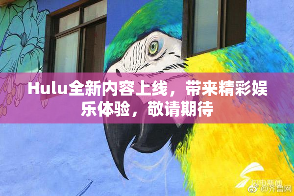 Hulu全新内容上线，带来精彩娱乐体验，敬请期待
