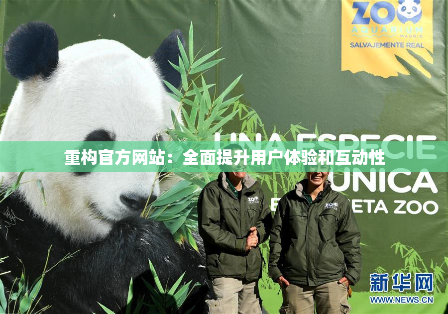 重构官方网站：全面提升用户体验和互动性
