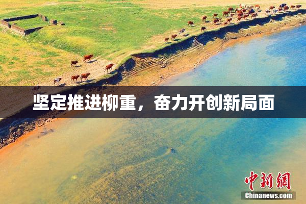 坚定推进柳重，奋力开创新局面