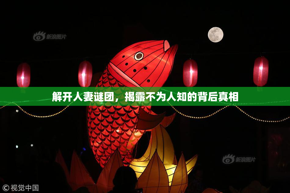 解开人妻谜团，揭露不为人知的背后真相