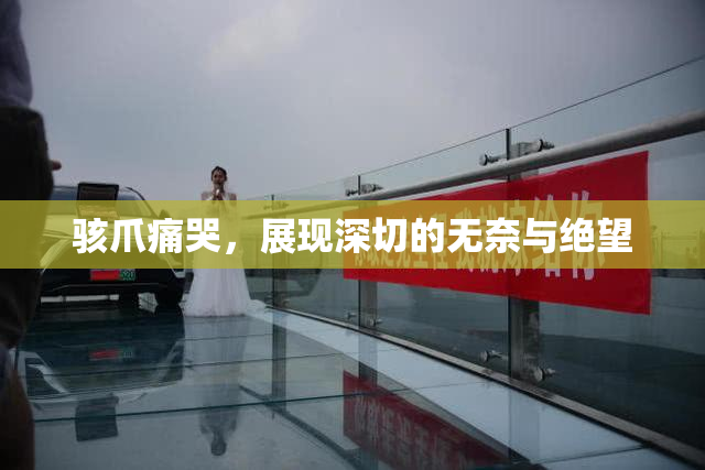 骇爪痛哭，展现深切的无奈与绝望