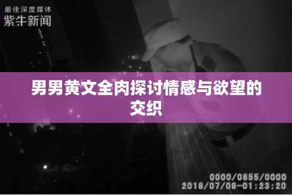 男男黄文全肉探讨情感与欲望的交织