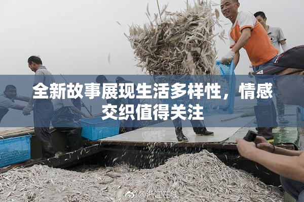 全新故事展现生活多样性，情感交织值得关注