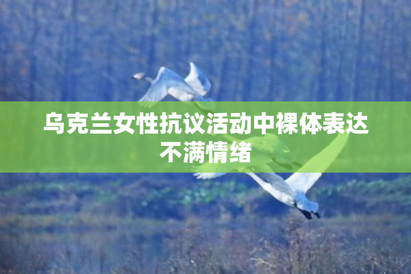 乌克兰女性抗议活动中裸体表达不满情绪