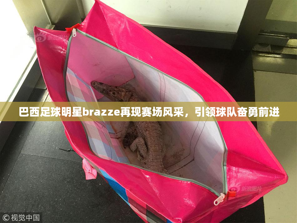 巴西足球明星brazze再现赛场风采，引领球队奋勇前进