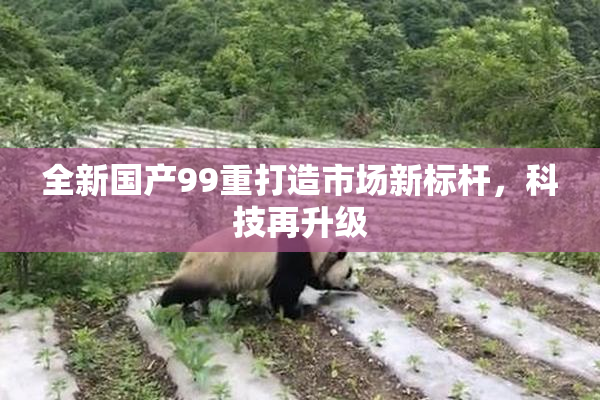 全新国产99重打造市场新标杆，科技再升级