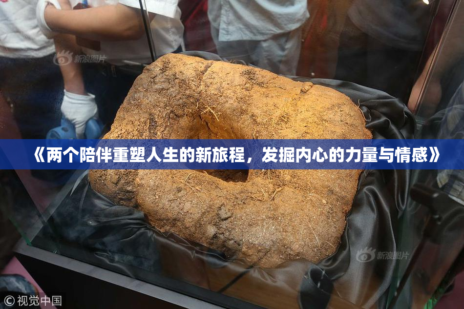 《两个陪伴重塑人生的新旅程，发掘内心的力量与情感》