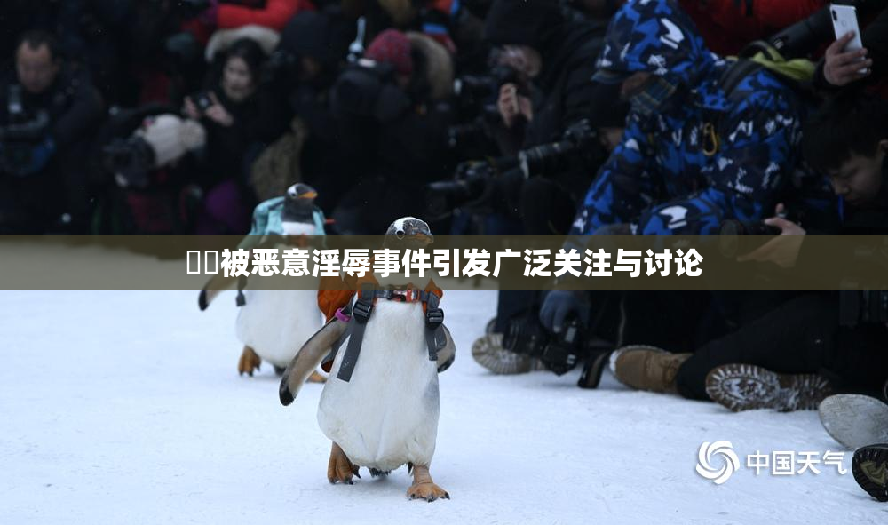 妺妺被恶意淫辱事件引发广泛关注与讨论