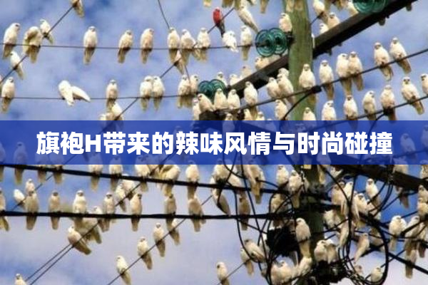 旗袍H带来的辣味风情与时尚碰撞