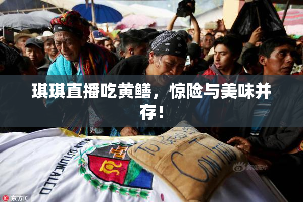 琪琪直播吃黄鳝，惊险与美味并存！