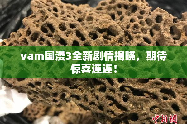 vam国漫3全新剧情揭晓，期待惊喜连连！