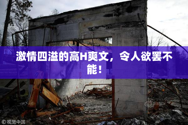 激情四溢的高H爽文，令人欲罢不能！