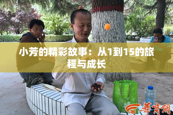 小芳的精彩故事：从1到15的旅程与成长