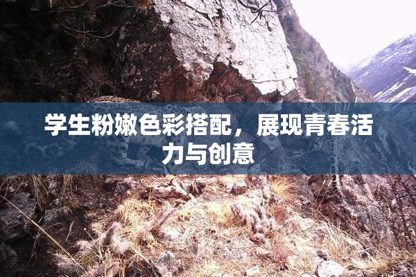 学生粉嫩色彩搭配，展现青春活力与创意