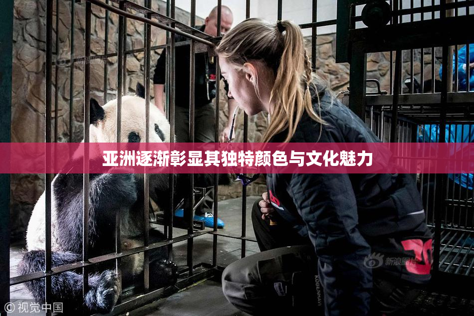 亚洲逐渐彰显其独特颜色与文化魅力