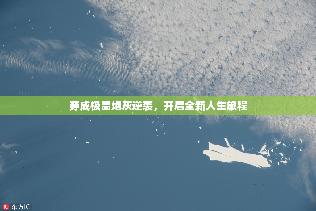 穿成极品炮灰逆袭，开启全新人生旅程