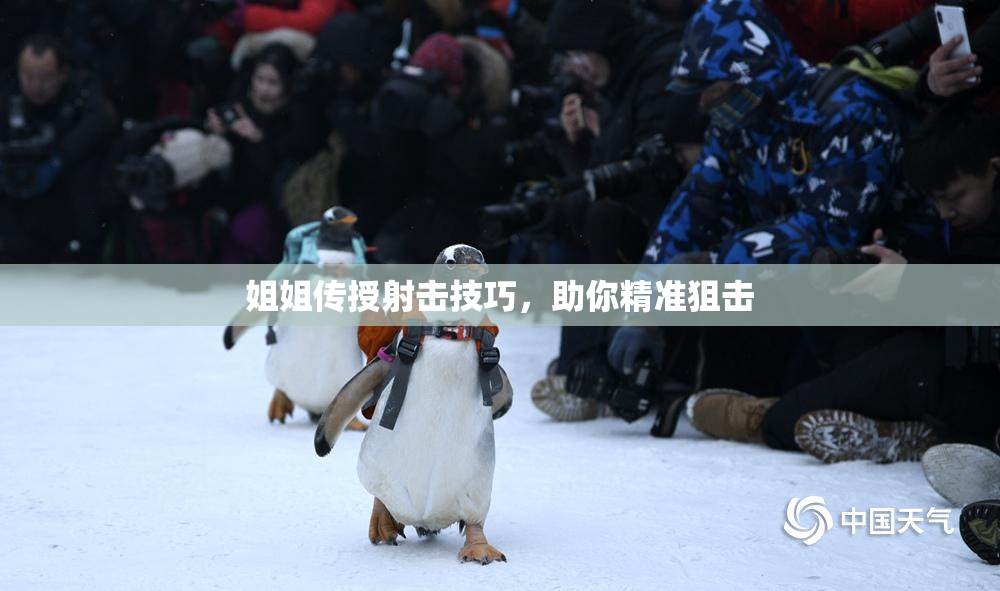 姐姐传授射击技巧，助你精准狙击