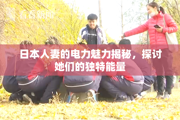 日本人妻的电力魅力揭秘，探讨她们的独特能量