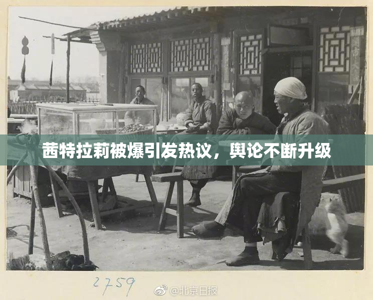 茜特拉莉被爆引发热议，舆论不断升级