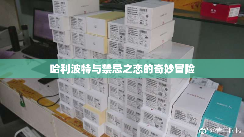 哈利波特与禁忌之恋的奇妙冒险