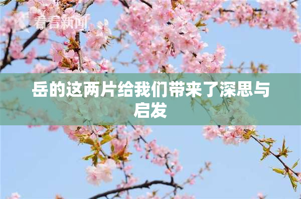 岳的这两片给我们带来了深思与启发