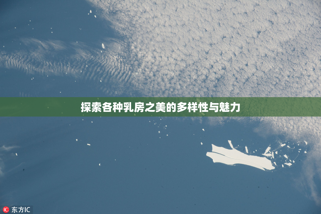 探索各种乳房之美的多样性与魅力