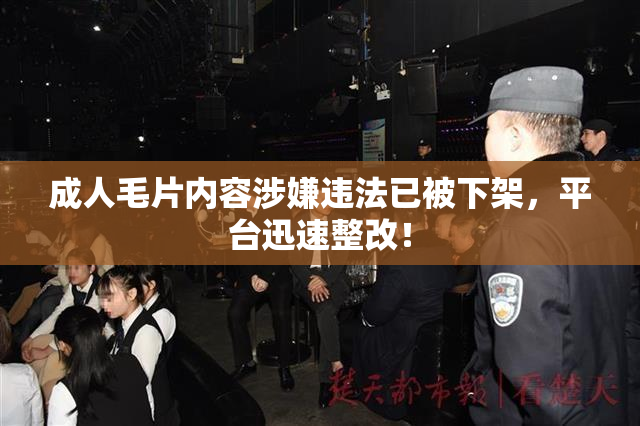 成人毛片内容涉嫌违法已被下架，平台迅速整改！