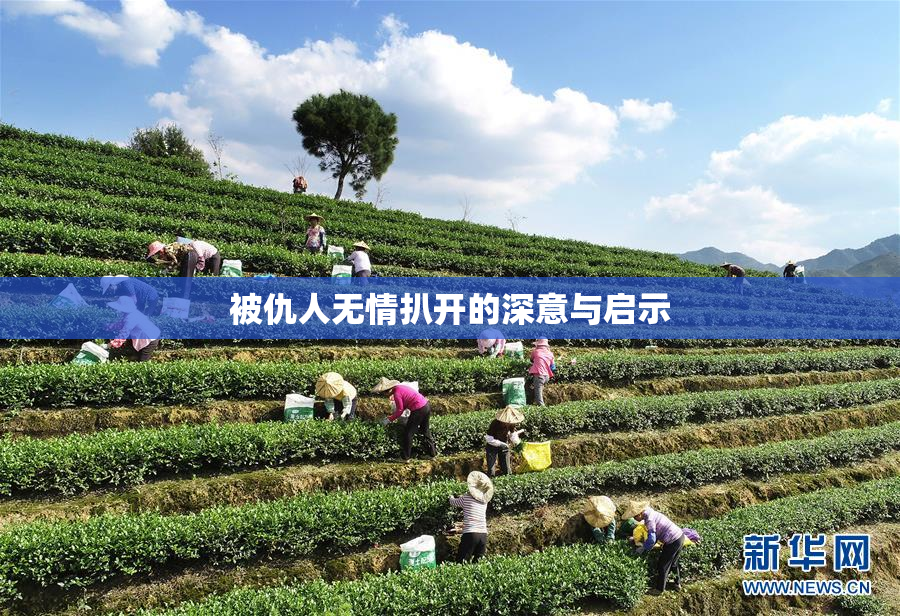 被仇人无情扒开的深意与启示