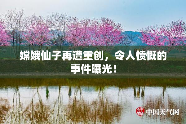 嫦娥仙子再遭重创，令人愤慨的事件曝光！