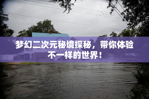 梦幻二次元秘境探秘，带你体验不一样的世界！