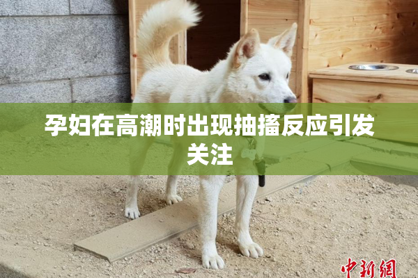孕妇在高潮时出现抽搐反应引发关注