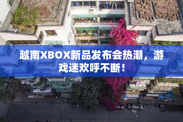 越南XBOX新品发布会热潮，游戏迷欢呼不断！