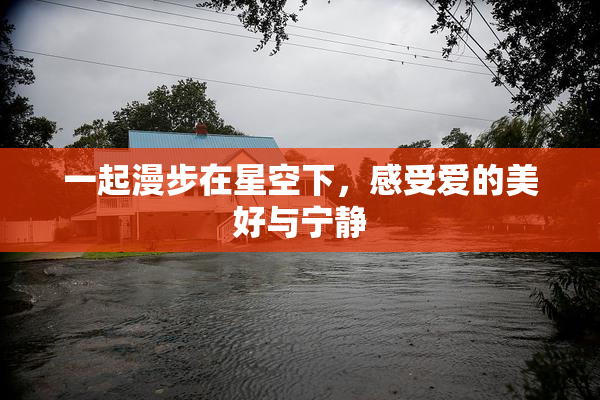 一起漫步在星空下，感受爱的美好与宁静
