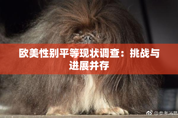 欧美性别平等现状调查：挑战与进展并存