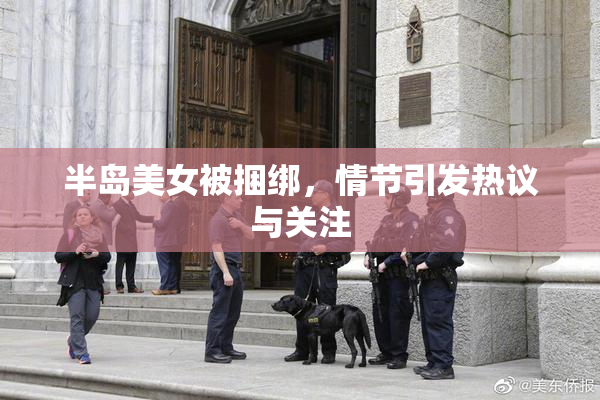 半岛美女被捆绑，情节引发热议与关注