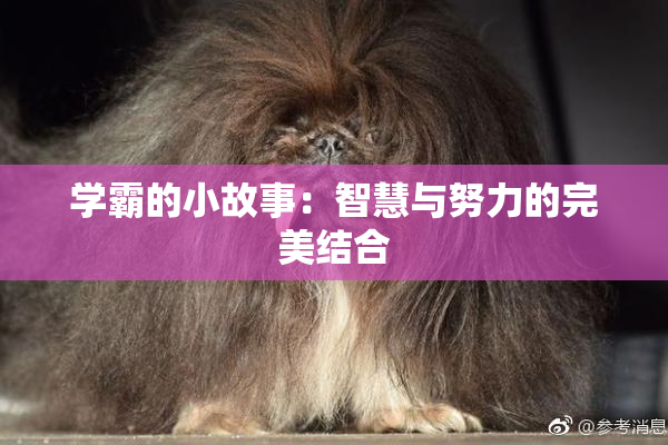 学霸的小故事：智慧与努力的完美结合