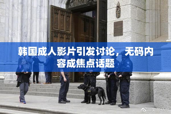 韩国成人影片引发讨论，无码内容成焦点话题