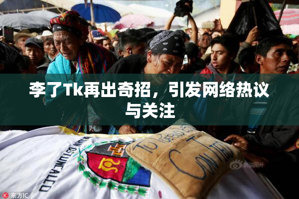 李了Tk再出奇招，引发网络热议与关注